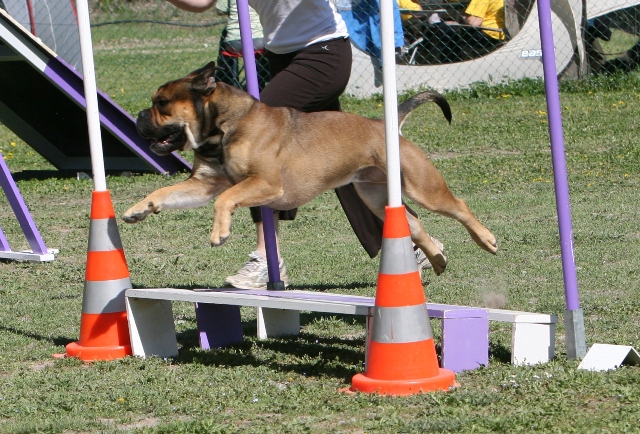 Publication : De Kaëlonia Auteur : Gui&Caro