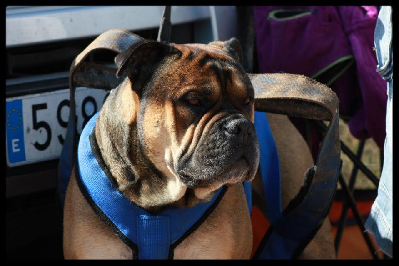 Publication : De Kaëlonia Auteur : Gui&Caro