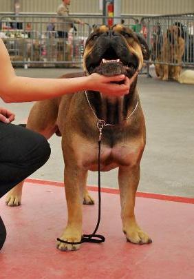 Publication : De Kaëlonia Auteur : Gui&Caro