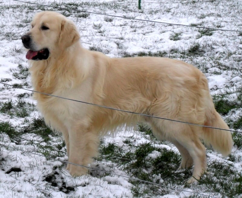 Publication : du Fond de la Noye Auteur : Punta Verde