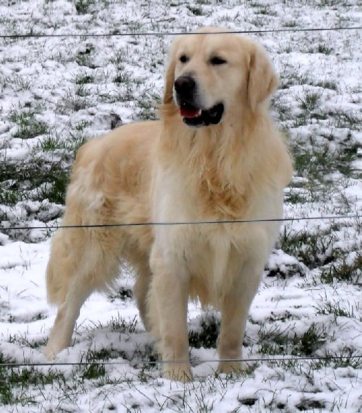 Publication : du Fond de la Noye Auteur : Punta Verde