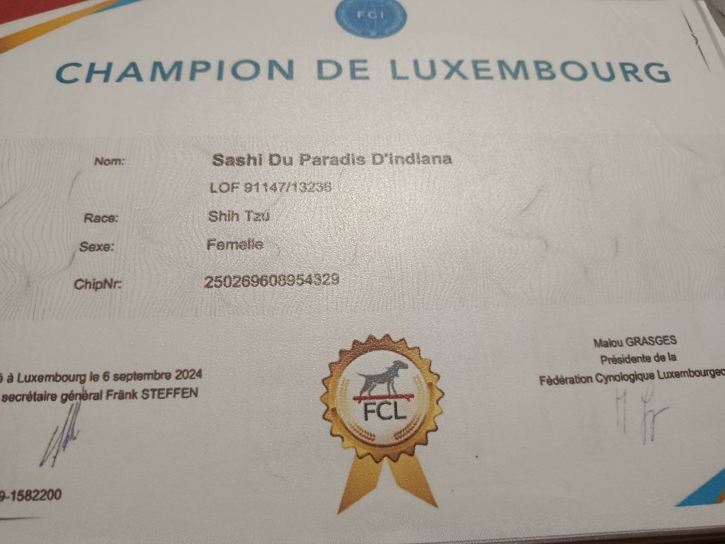 CH. Sashi Du Paradis D'indiana