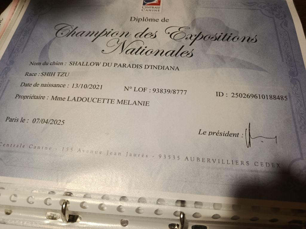 CH. Shallow Du Paradis D'indiana