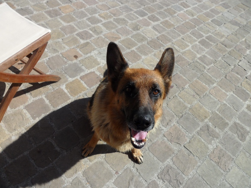 Publication : Du Plateau A Vent