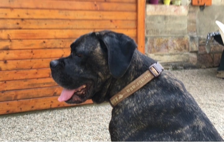 Habracadabra Du Domaine De La Saulzie