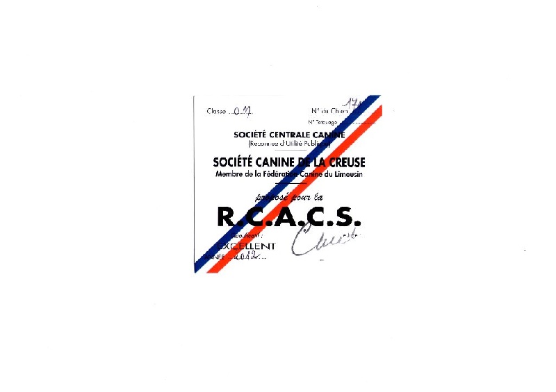 Flavio (Sans Affixe) - 2ème EXCELLENT + RCACS