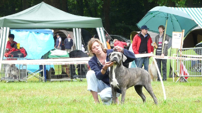 Foxie Du Domaine De La Saulzie - 3ème TRÈS BON + CONFIRMÉE