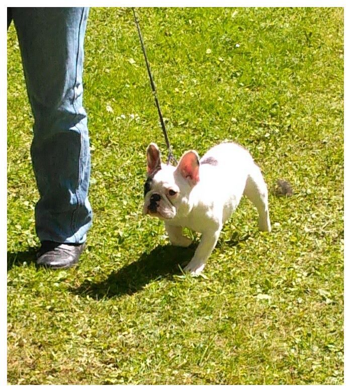 Publication : De La Futaie Des Merveilles