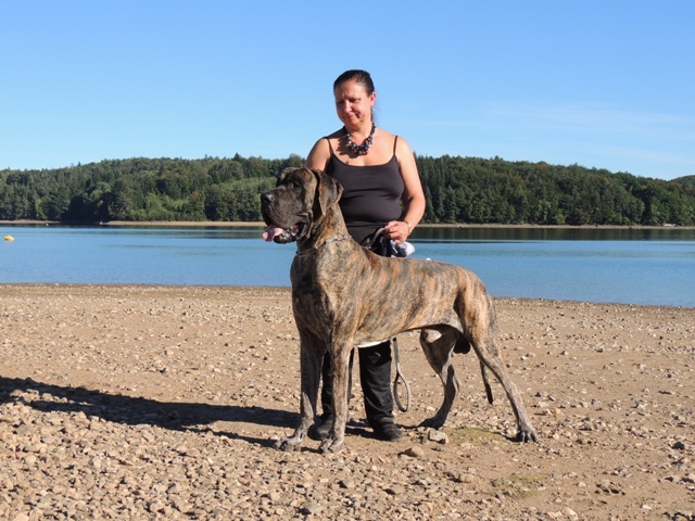 CH. Glover Des geants de becquigny - 3ème Excellent