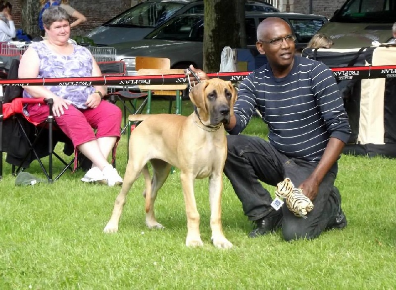 CH. Impératrice farah diba du domaine de Gauvin - Prometteur en classe puppy