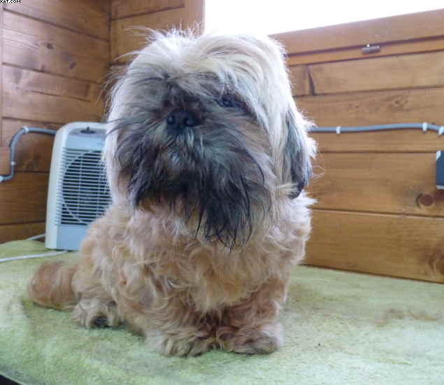 Publication : De la truffe en quercy