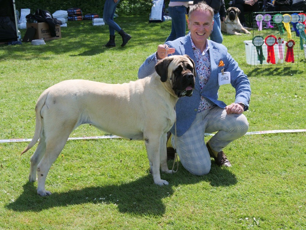 CH. Simpy the best Brullemail