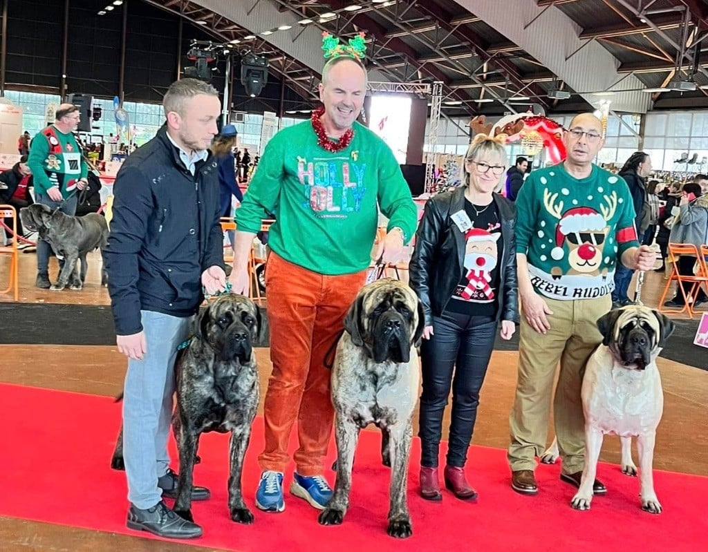 CH. Simpy the best Brullemail