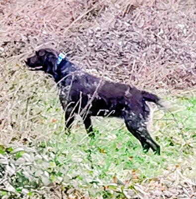 Du Verger Du Pommerot