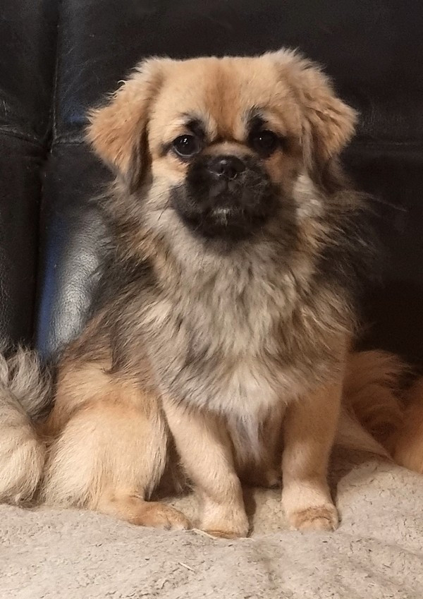 Love to be loved  of lollipop