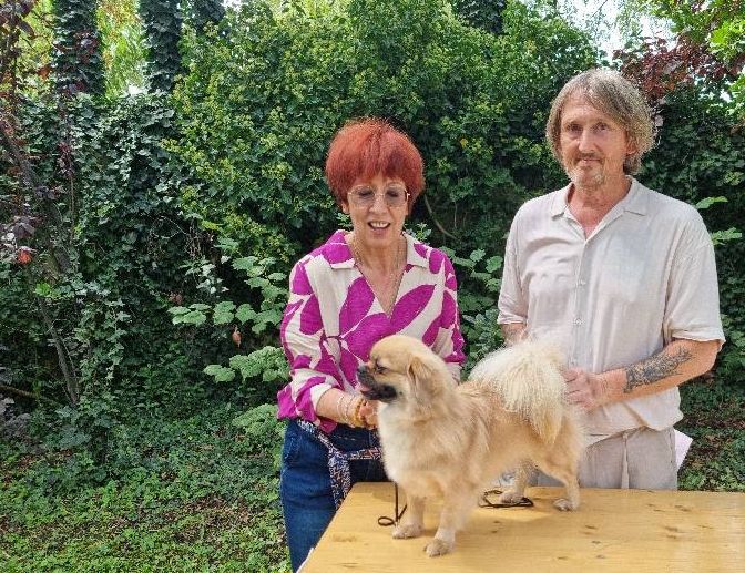 CH. Glitter lovelight of lollipop - 1st Exc Open Bitch Classe CACS - BOS / Meilleur sex opposé