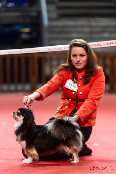 CH. Baby love of lollipop - CACIB - CACS - BOS / Meilleur Femelle