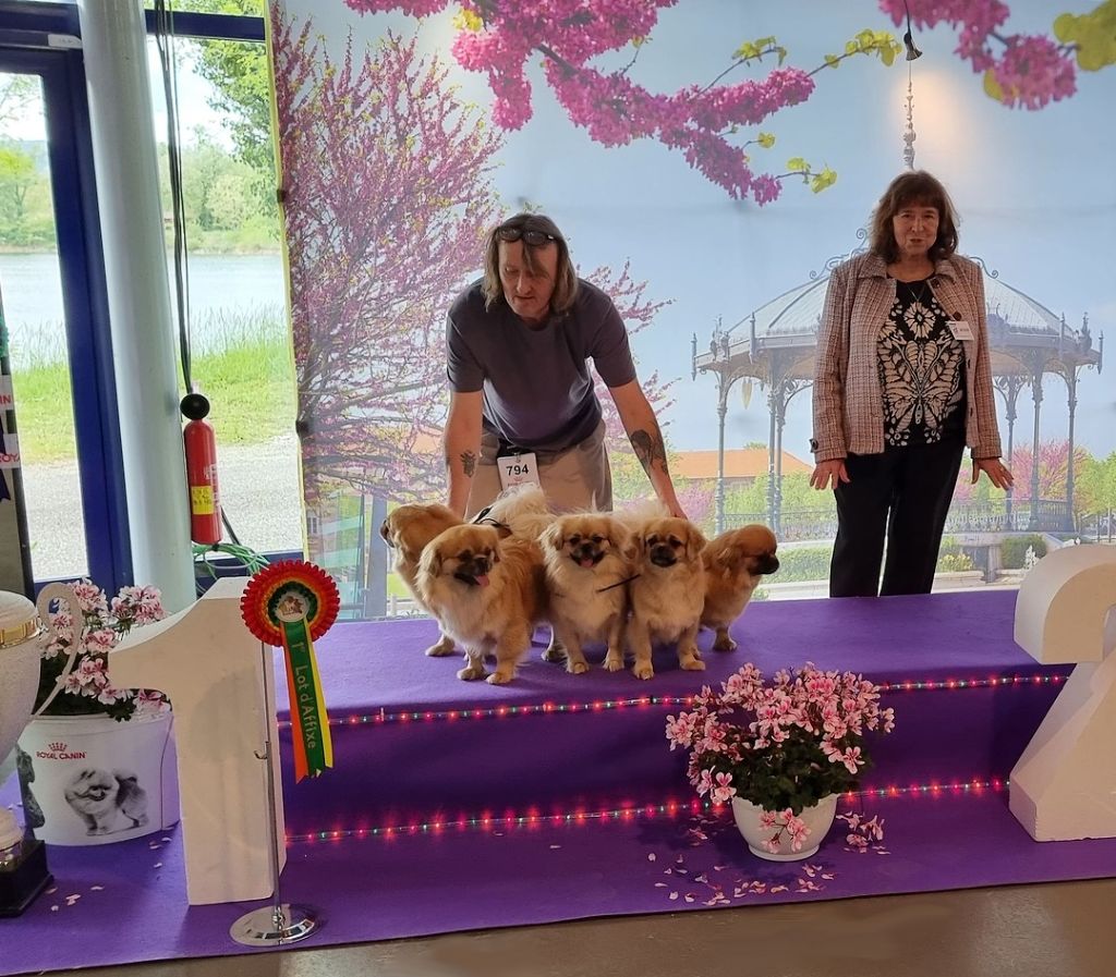 CH. Glitter lovelight of lollipop - Best in Show Breeders Group / BIS Lot Affixe