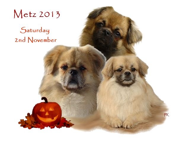 CH. Que sera sera of lollipop - BOB Junior - Meilleur Jeune