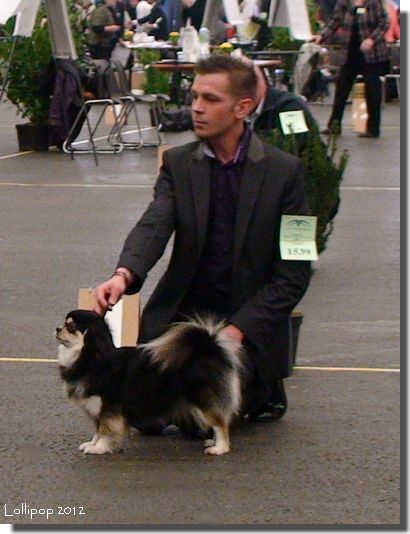 CH. Baby love of lollipop - 1st Exc CH Bitch Class - CACIB - CAC - BOS