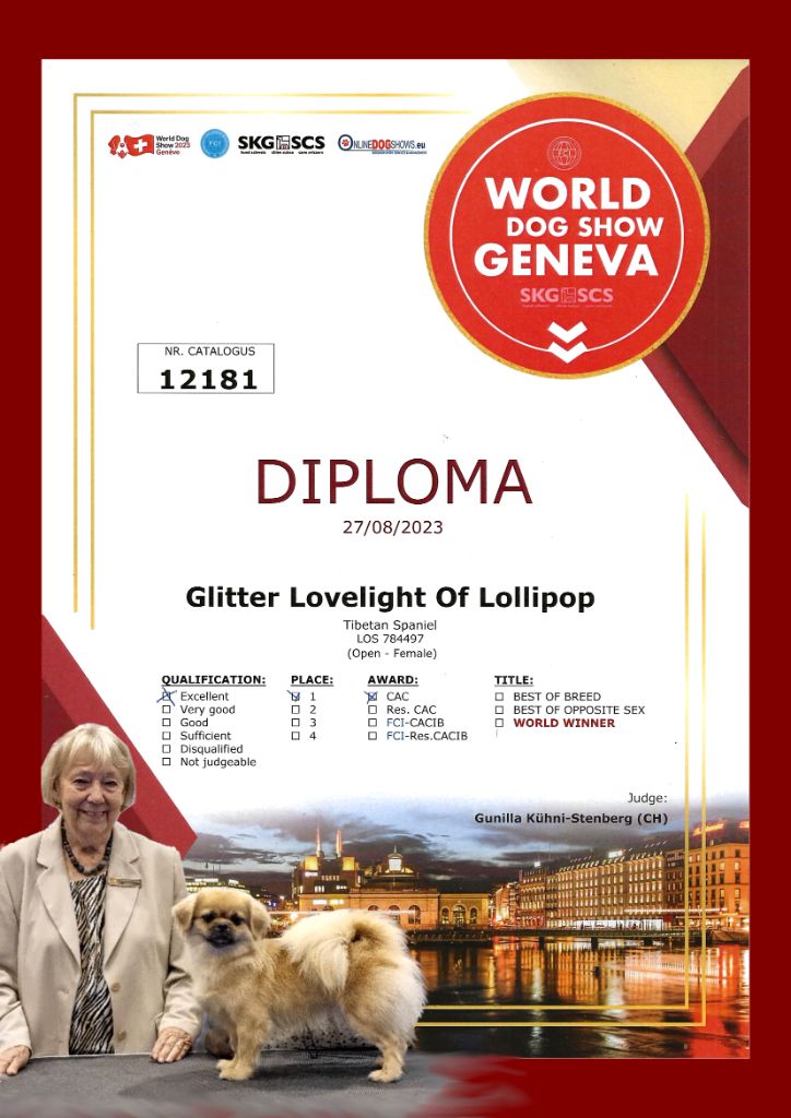 CH. Glitter lovelight of lollipop - 1ère Excellent Classe Ouverte Femelle CAC