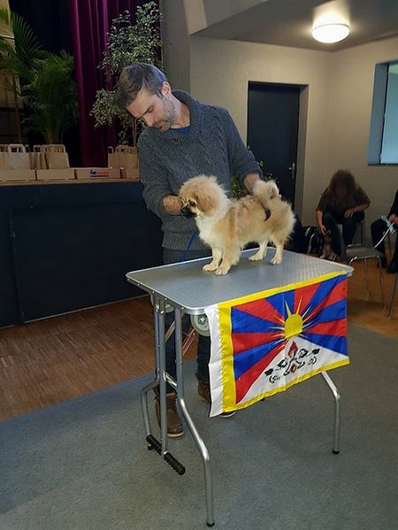 Fai-poso pul-i-khumri - Best Baby - 1st very Promissing