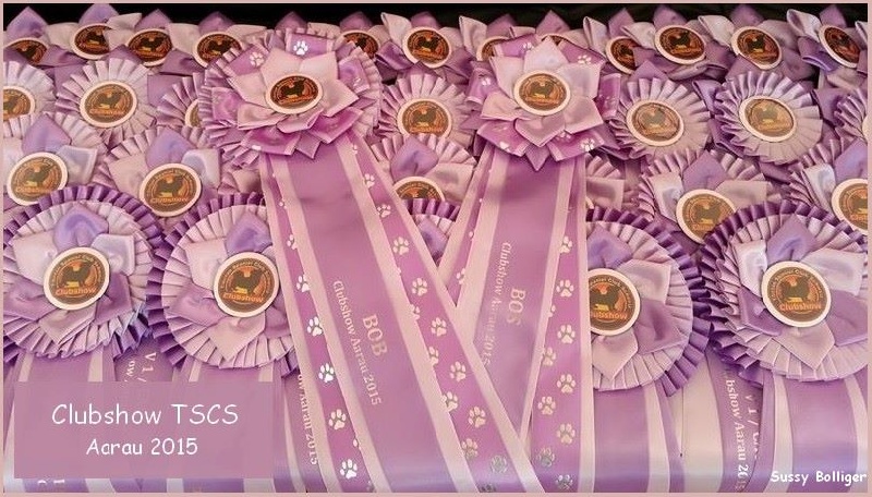 CH. Que sera sera of lollipop - 1st Exc Open Dokg Class - CAC