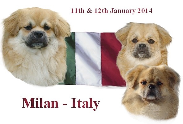 CH. Mona lisa of lollipop - CAC - BOS / Meilleur Femelle