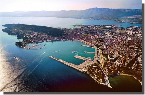 CH. Baby love of lollipop - 1st Exc Champion bitch Class - CACIB - CAC - BOS