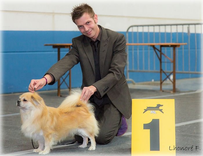 CH. arundina Turbulence - 1st Exc CH Dog Class - CACIB - CACL - BOB / Meilleur de Race /