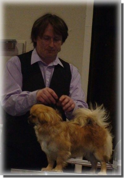 CH. Mona lisa of lollipop - Very Prommising 1 puppy bitch class