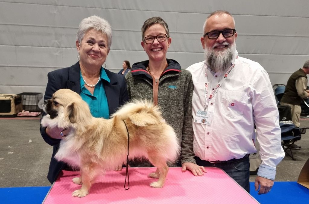 CH. pride virol Fire blaze - 1er Exc Class INTER Mâle - RCACIB - CAC