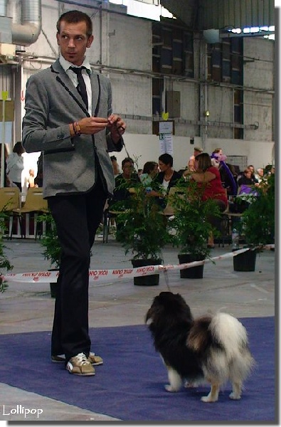 CH. Baby love of lollipop - 1ère Exc Classe CH - Meilleur Femelle / BOS