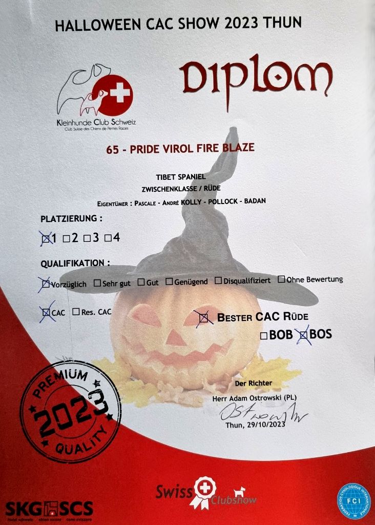 CH. pride virol Fire blaze - 1st Exc interm Dog Class - CAC - Mr Mâle / BOS