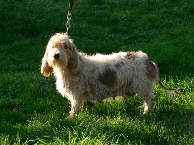 Publication : Du Chemin Des Brûleurs