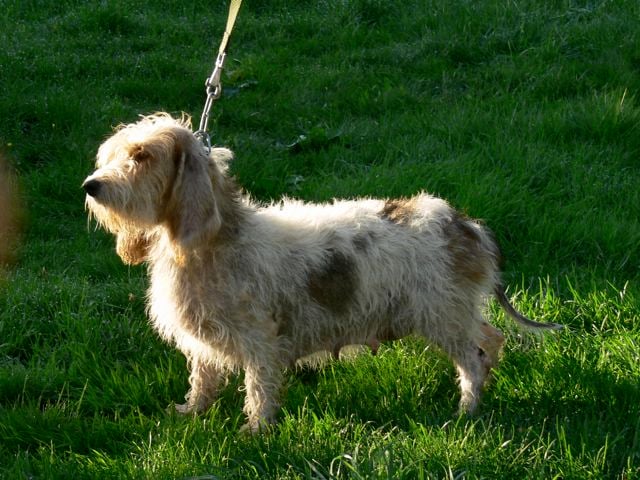 Publication : Du Chemin Des Brûleurs