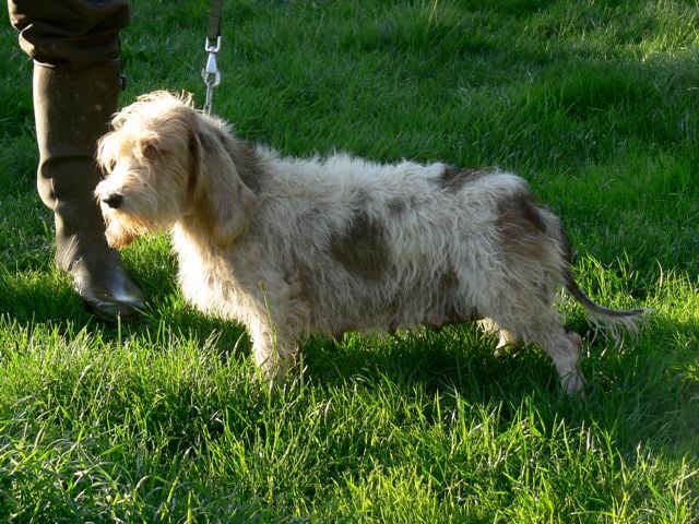 Publication : Du Chemin Des Brûleurs