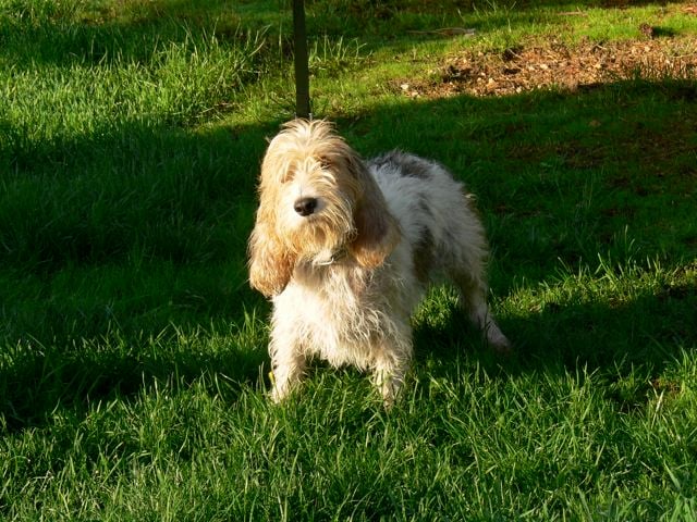 Publication : Du Chemin Des Brûleurs