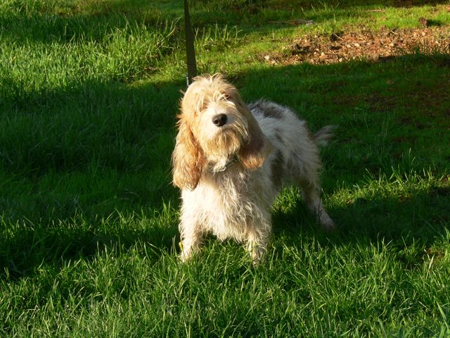 Publication : Du Chemin Des Brûleurs