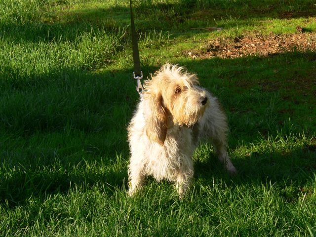 Publication : Du Chemin Des Brûleurs