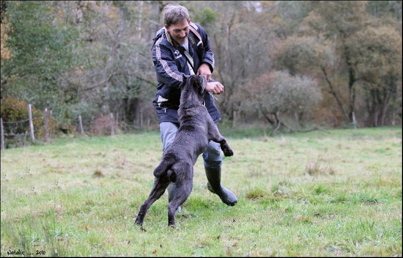 Publication : di Re Manfredi Auteur : NATALIE LAVIGNE