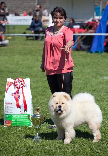 fearless heart Can-Can - Best Puppy, Best in Show Puppy-1