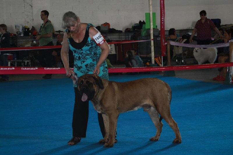 Publication : De La Maison De L'étoile Auteur : BEATA