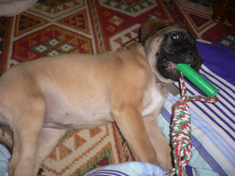 Publication : De La Maison De L'étoile