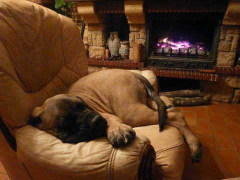 Publication : De La Maison De L'étoile