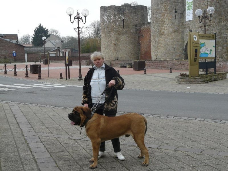 Publication : De La Maison De L'étoile Auteur : BEATA