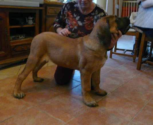 Publication : De La Maison De L'étoile Auteur : BEATA