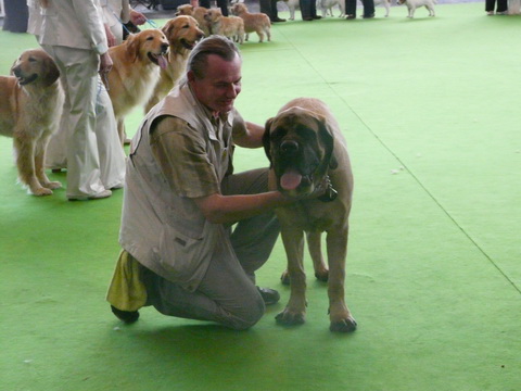 Publication : De La Maison De L'étoile