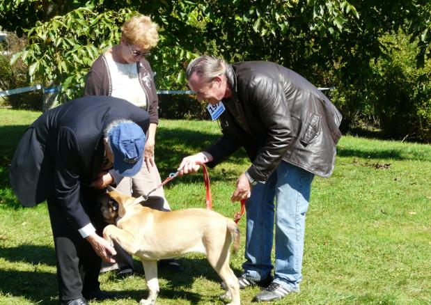 Publication : De La Maison De L'étoile