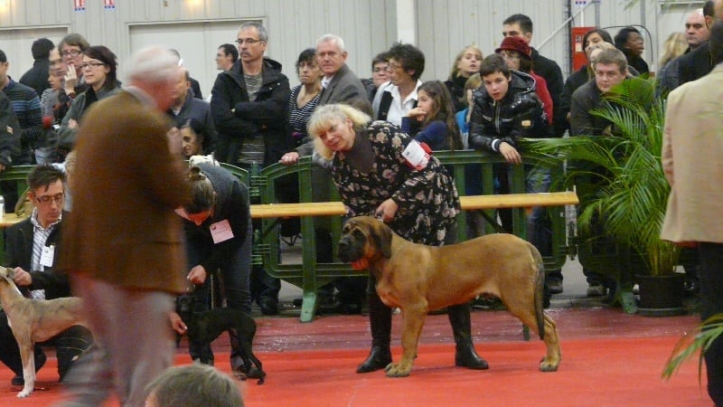 Publication : De La Maison De L'étoile Auteur : BEATA